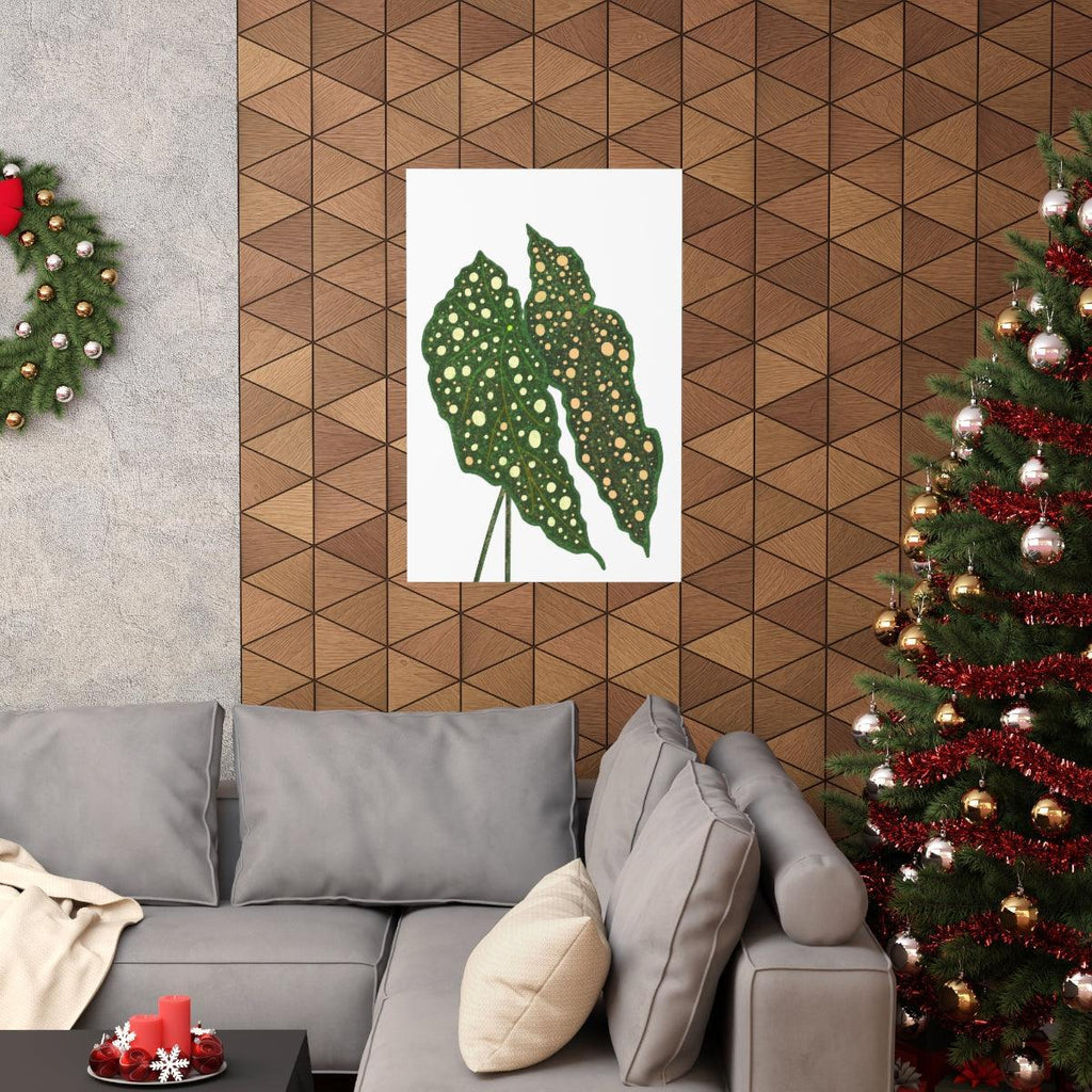 Begonia Maculata Botanical Print – Unframed Wall Art