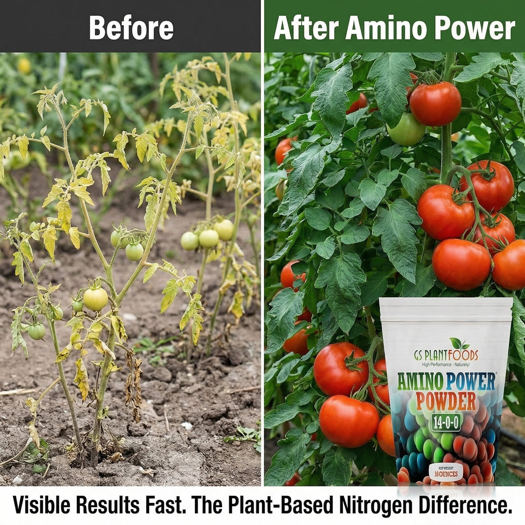 Amino Power – Plant-Based Nitrogen Fertilizer | GS Plant Foods, view 2