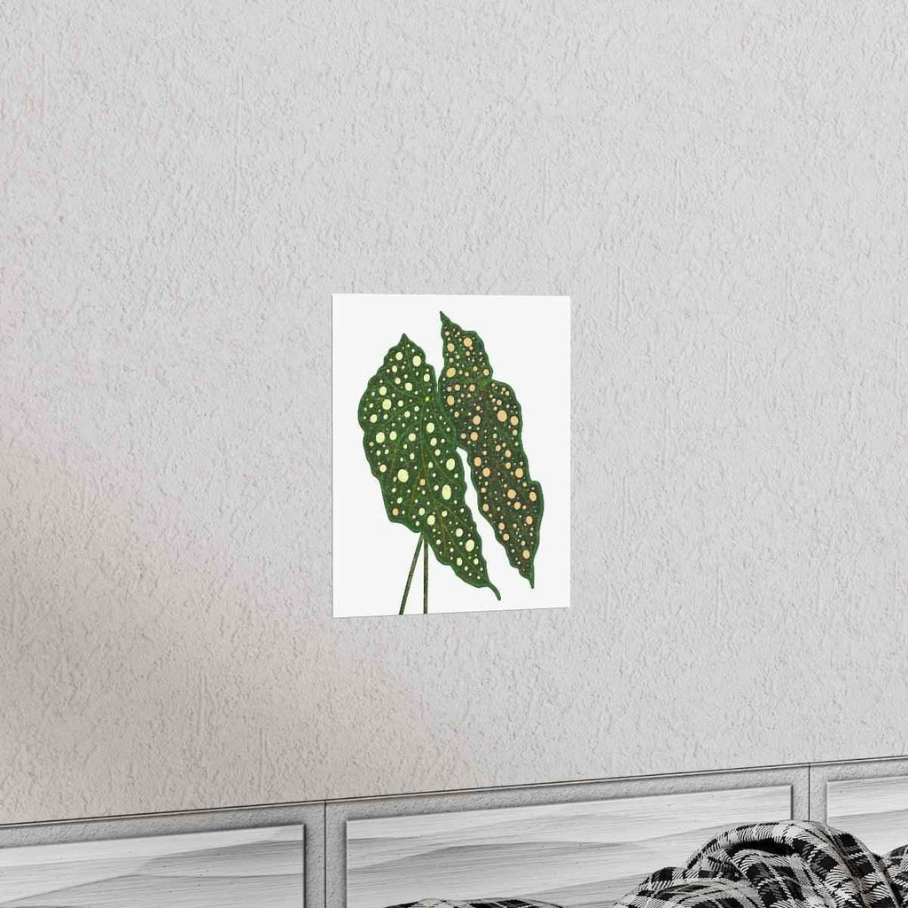 Begonia Maculata Botanical Print – Unframed Wall Art, view 14