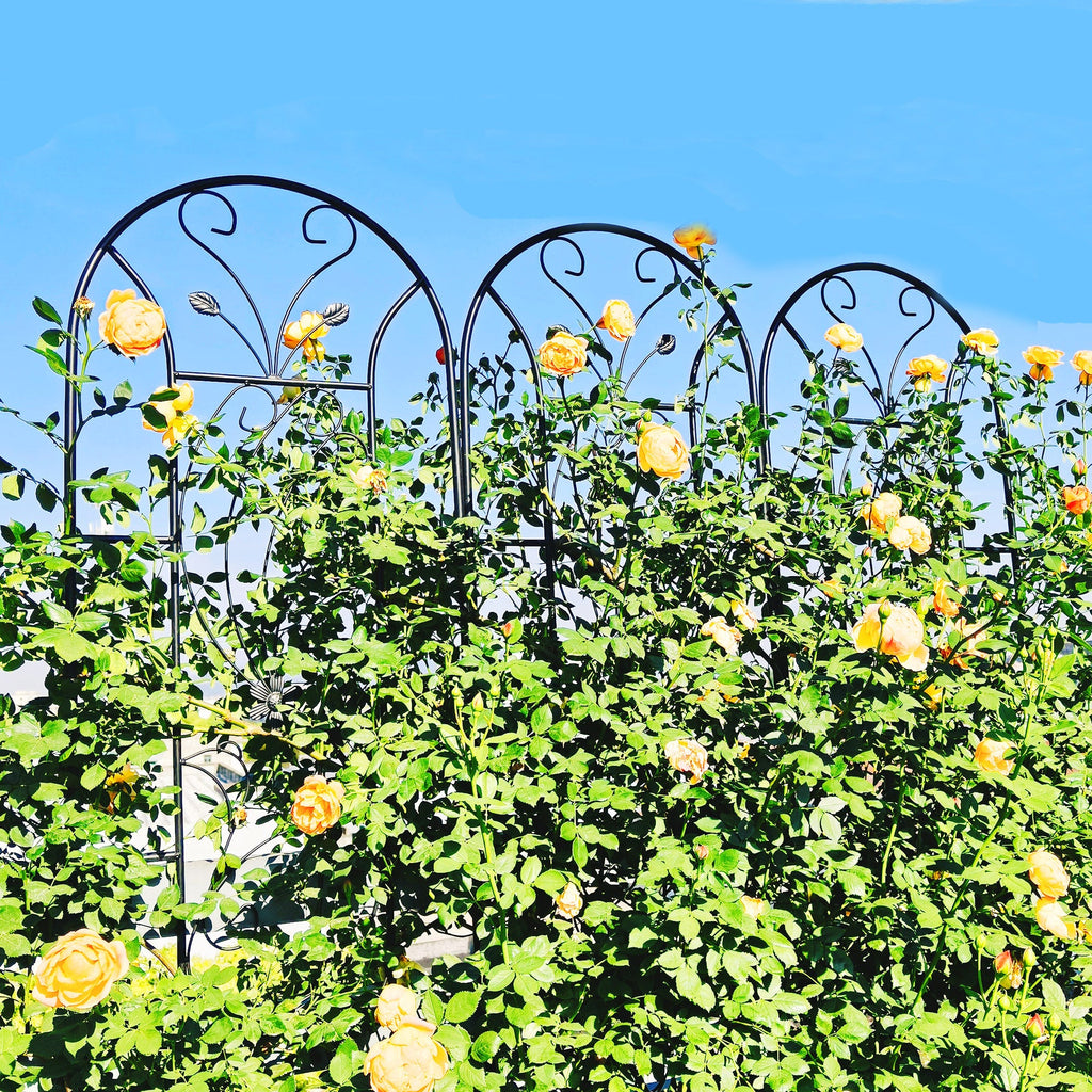 2 Pack Peacock Metal Garden Trellis, view 2