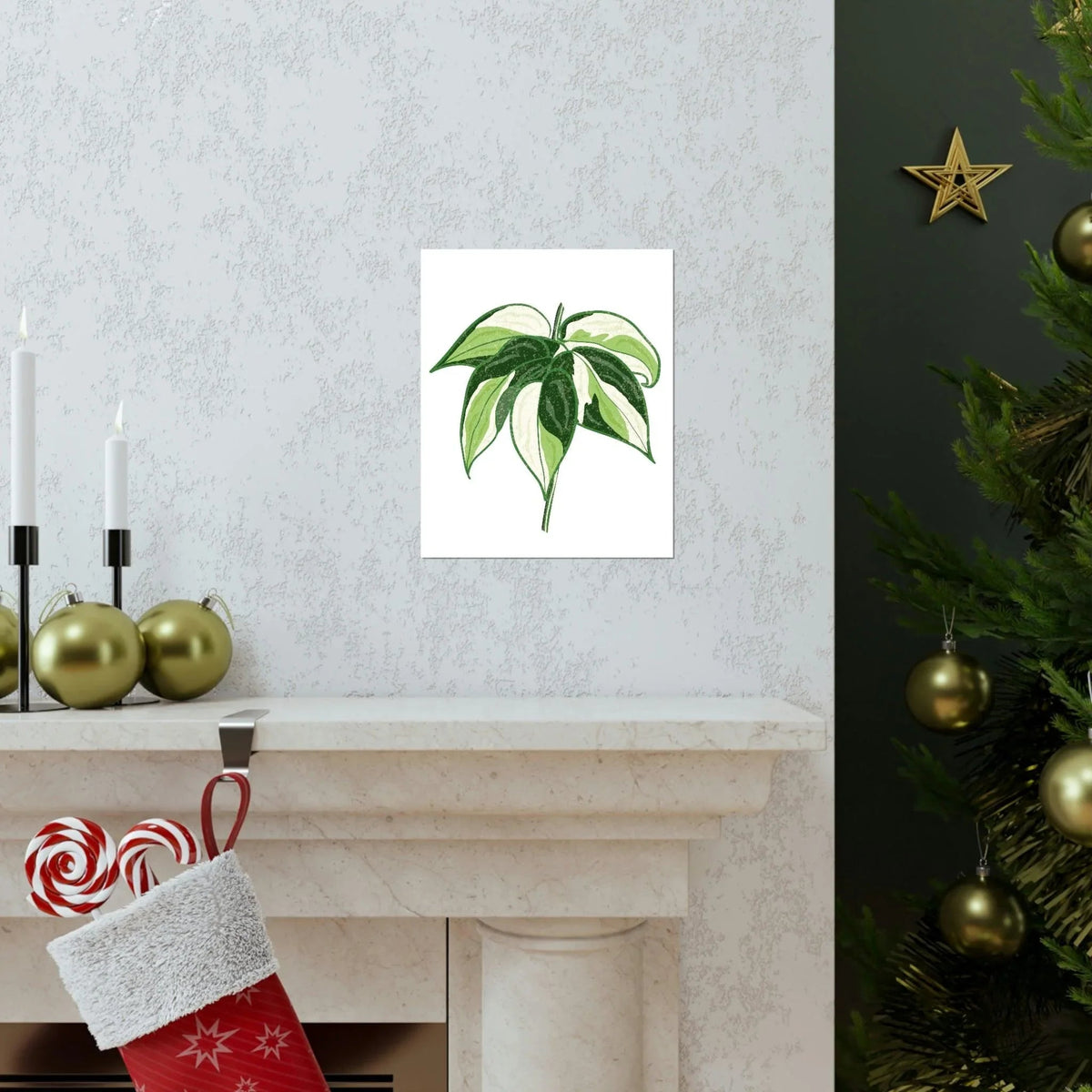 Philodendron Cream Splash Botanical Print – Unframed Wall Art, view 7