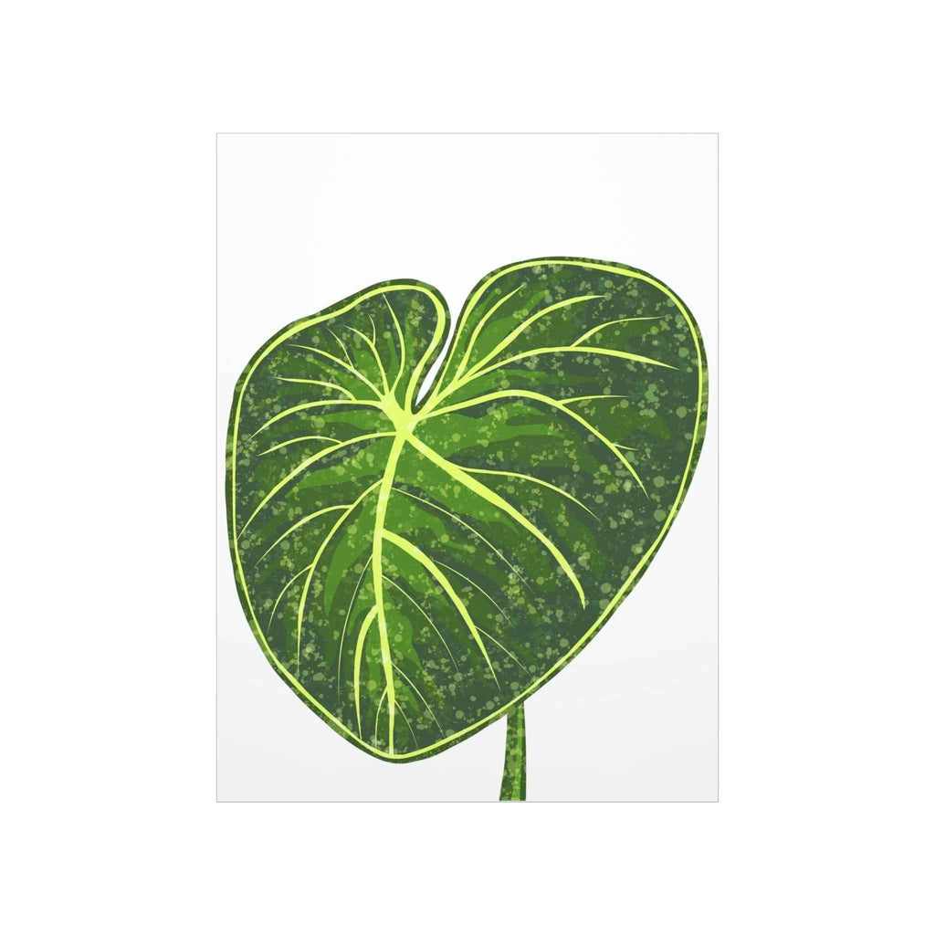 Philodendron Gloriosum Botanical Print – Unframed Wall Art