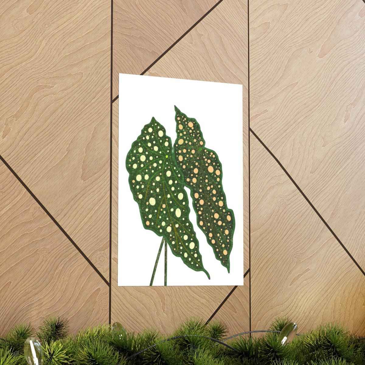 Begonia Maculata Botanical Print – Unframed Wall Art, view 5
