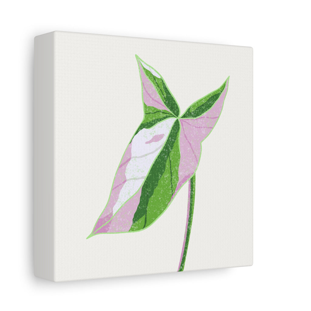 Syngonium Tricolor Canvas Print – Botanical Wall Art