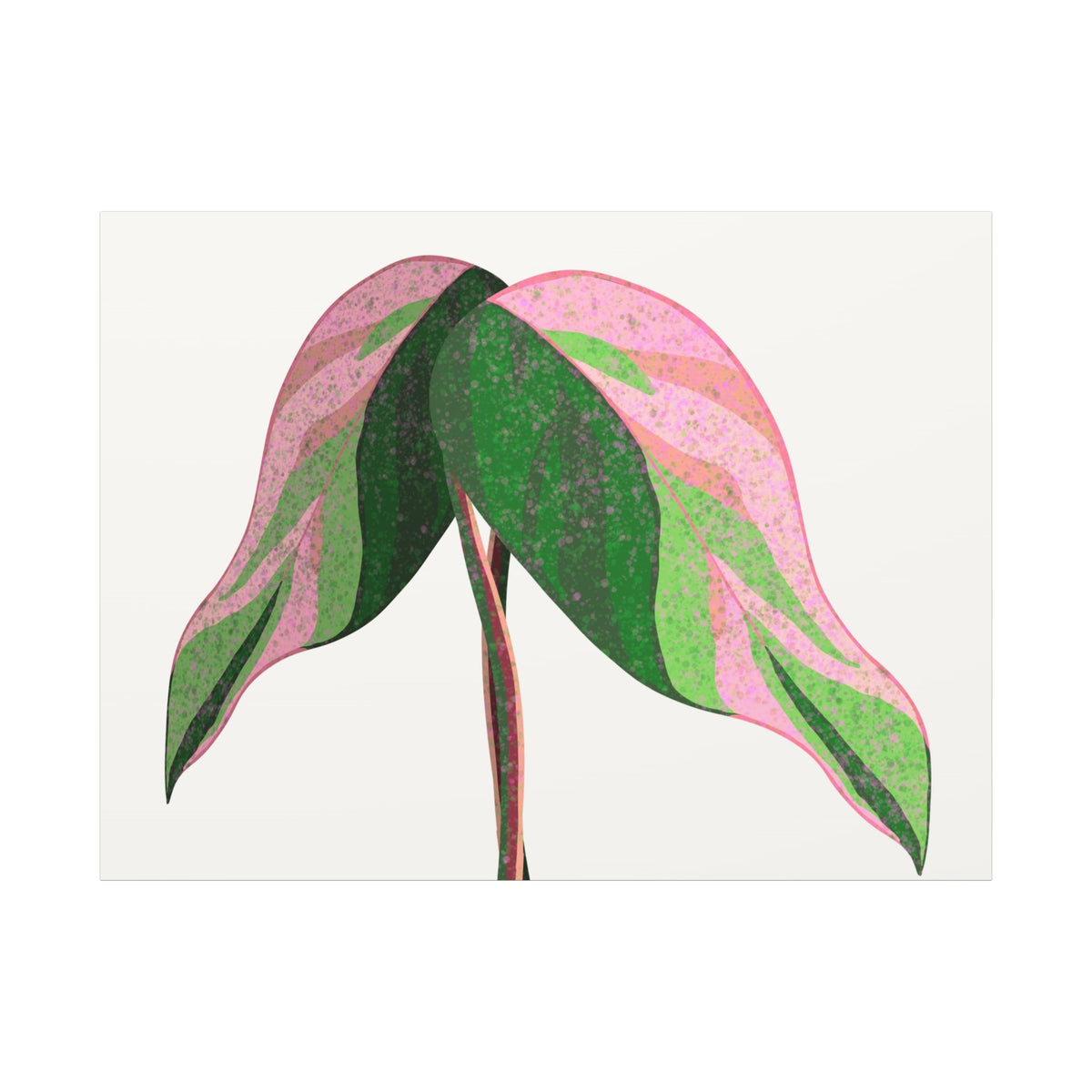Pink Princess Philodendron Canvas Print – Botanical Wall Art, view 7