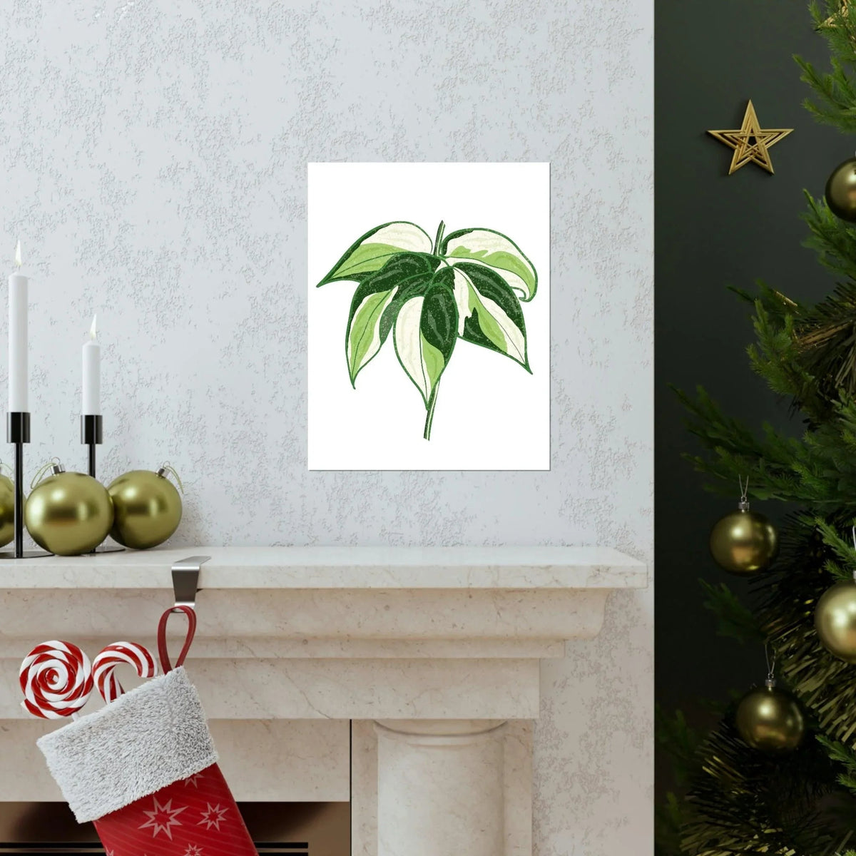 Philodendron Cream Splash Botanical Print – Unframed Wall Art, view 15