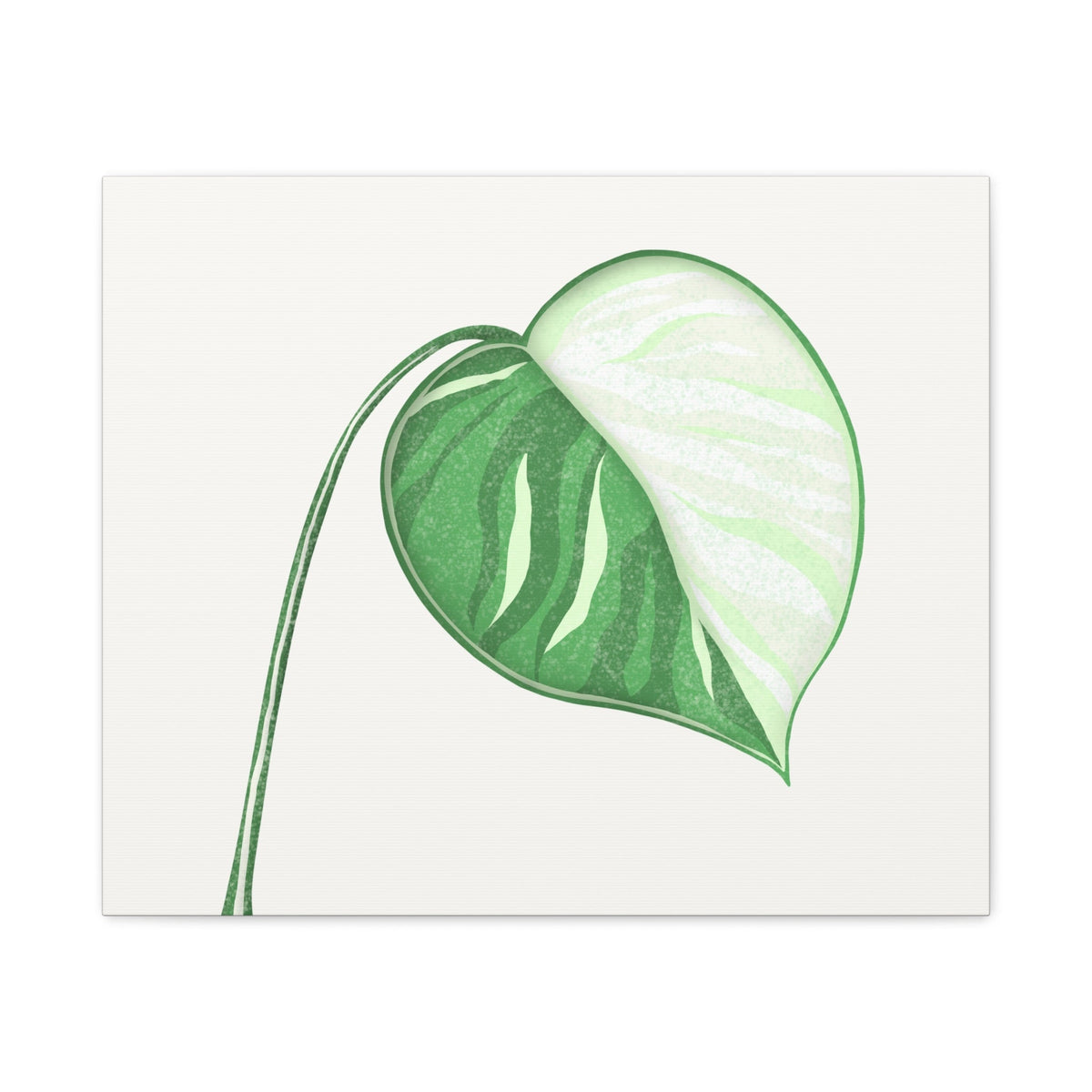 Monstera Albo Canvas Print – Botanical Wall Art, view 4