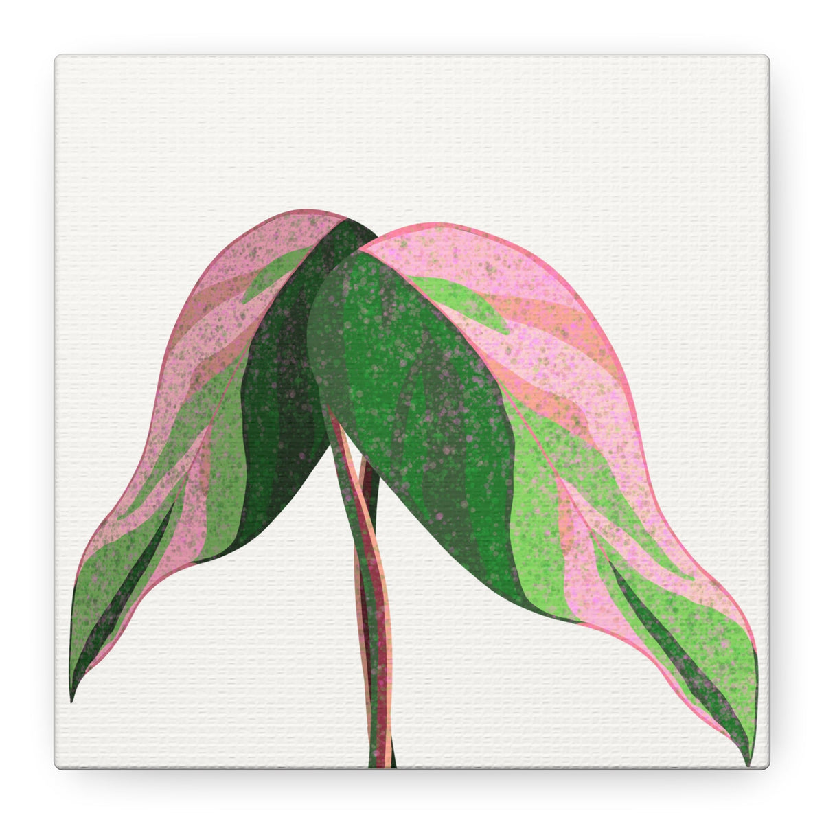 Pink Princess Philodendron Canvas Print – Botanical Wall Art, view 8