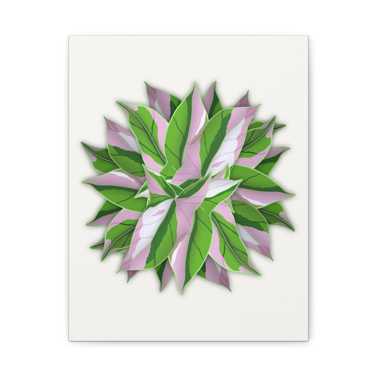 Syngonium Tricolor Pattern Canvas Print – Botanical Wall Art, view 9