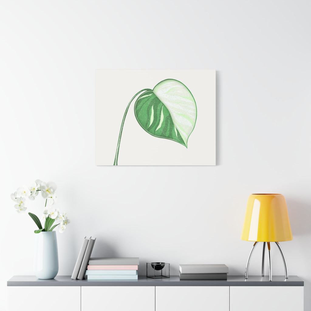 Monstera Albo Canvas Print – Botanical Wall Art