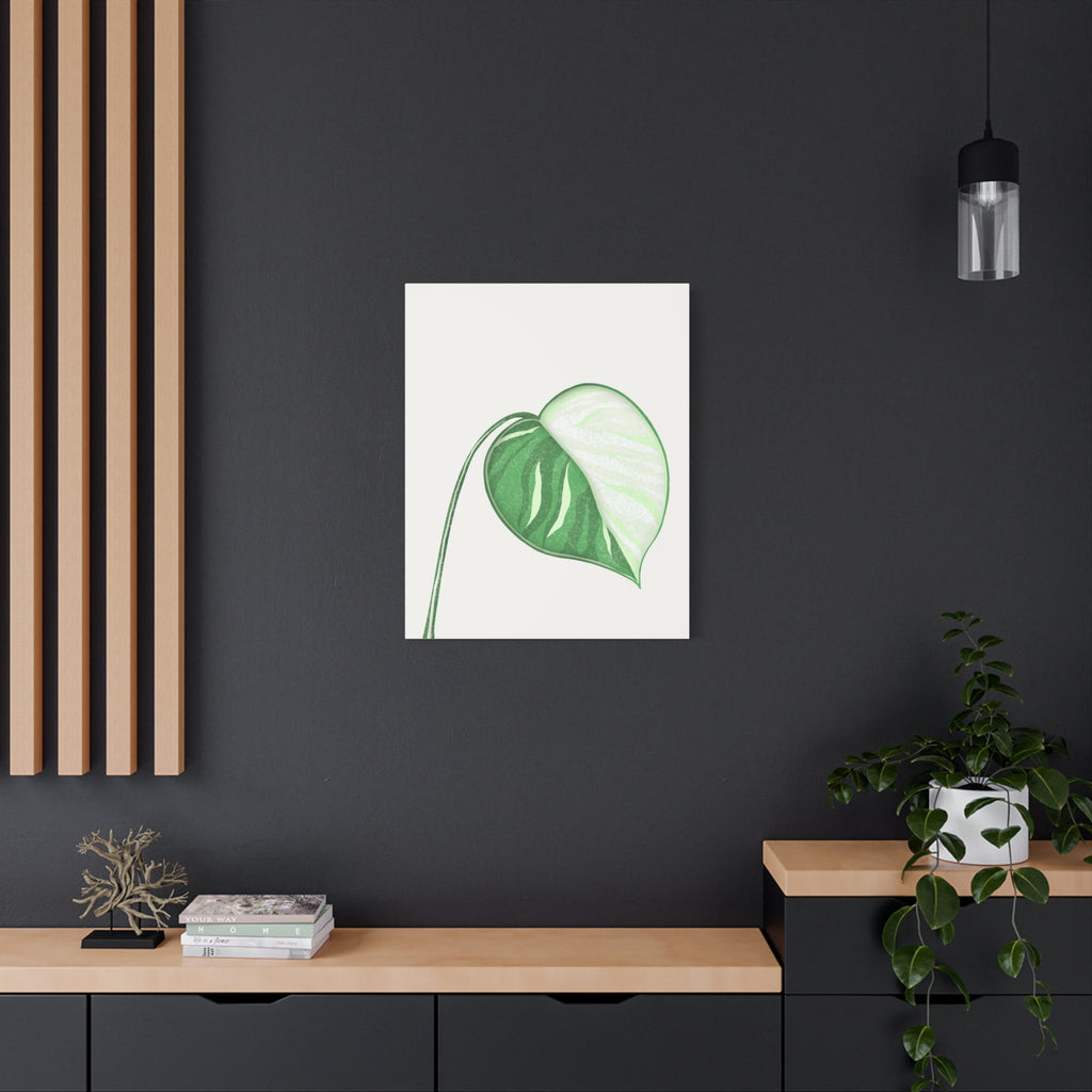 Monstera Albo Canvas Print – Botanical Wall Art