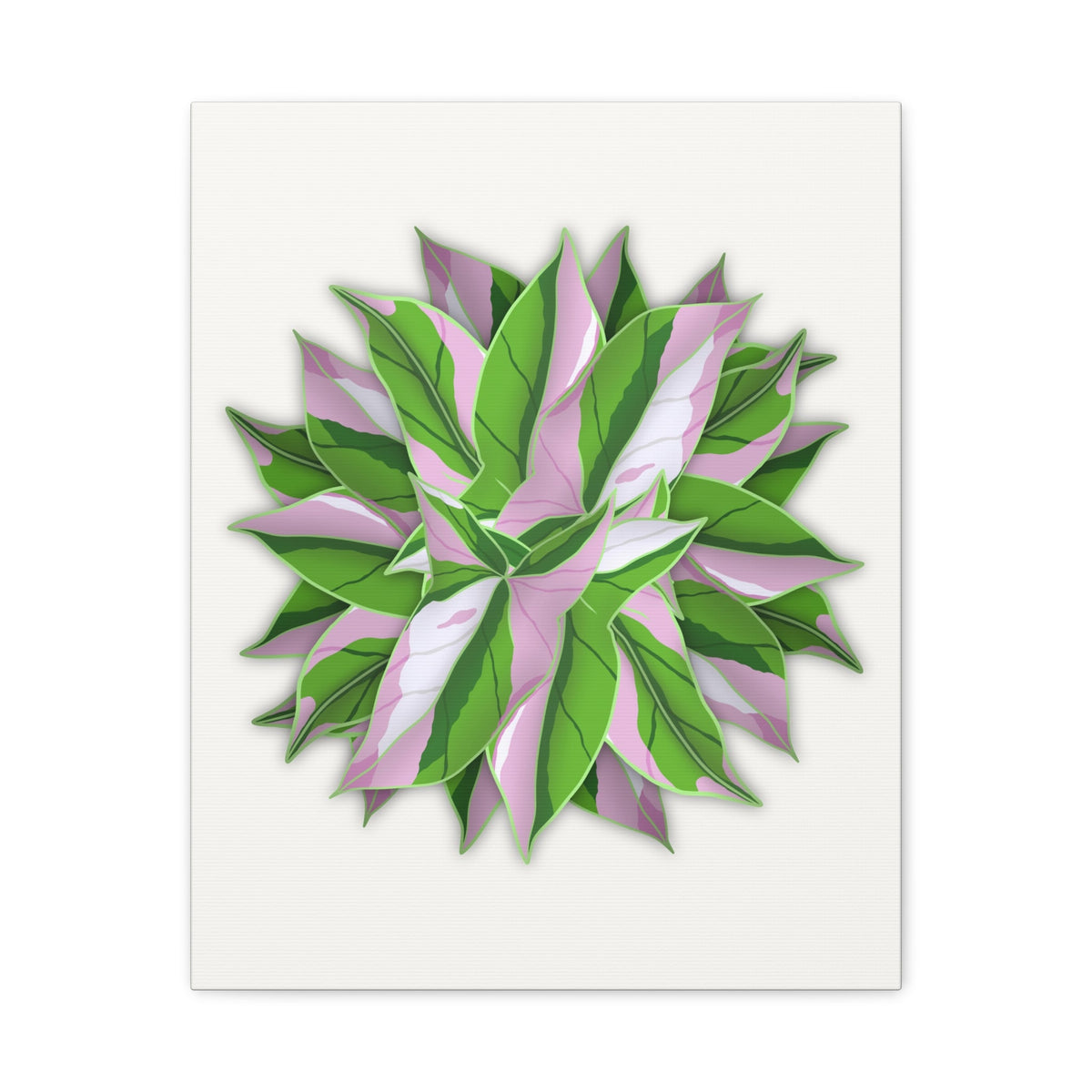 Syngonium Tricolor Pattern Canvas Print – Botanical Wall Art, view 10