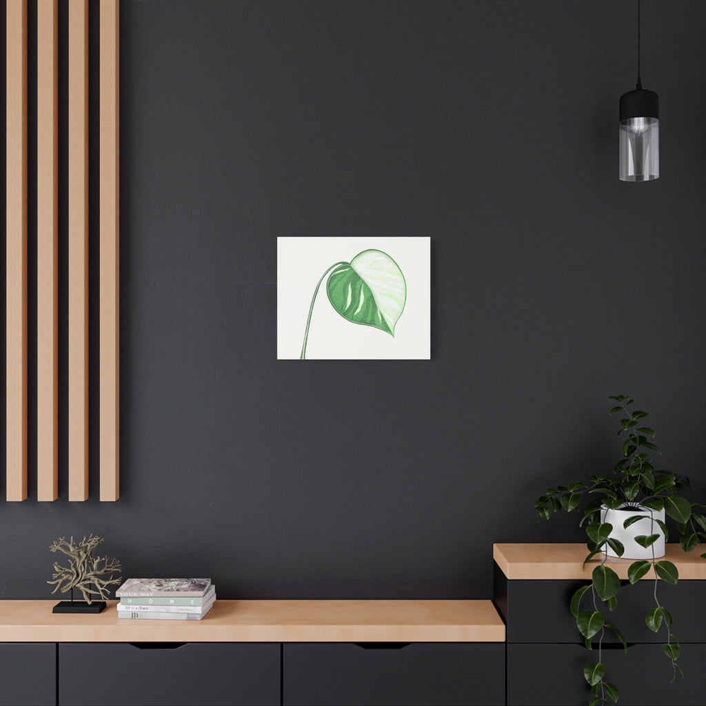 Monstera Albo Canvas Print – Botanical Wall Art