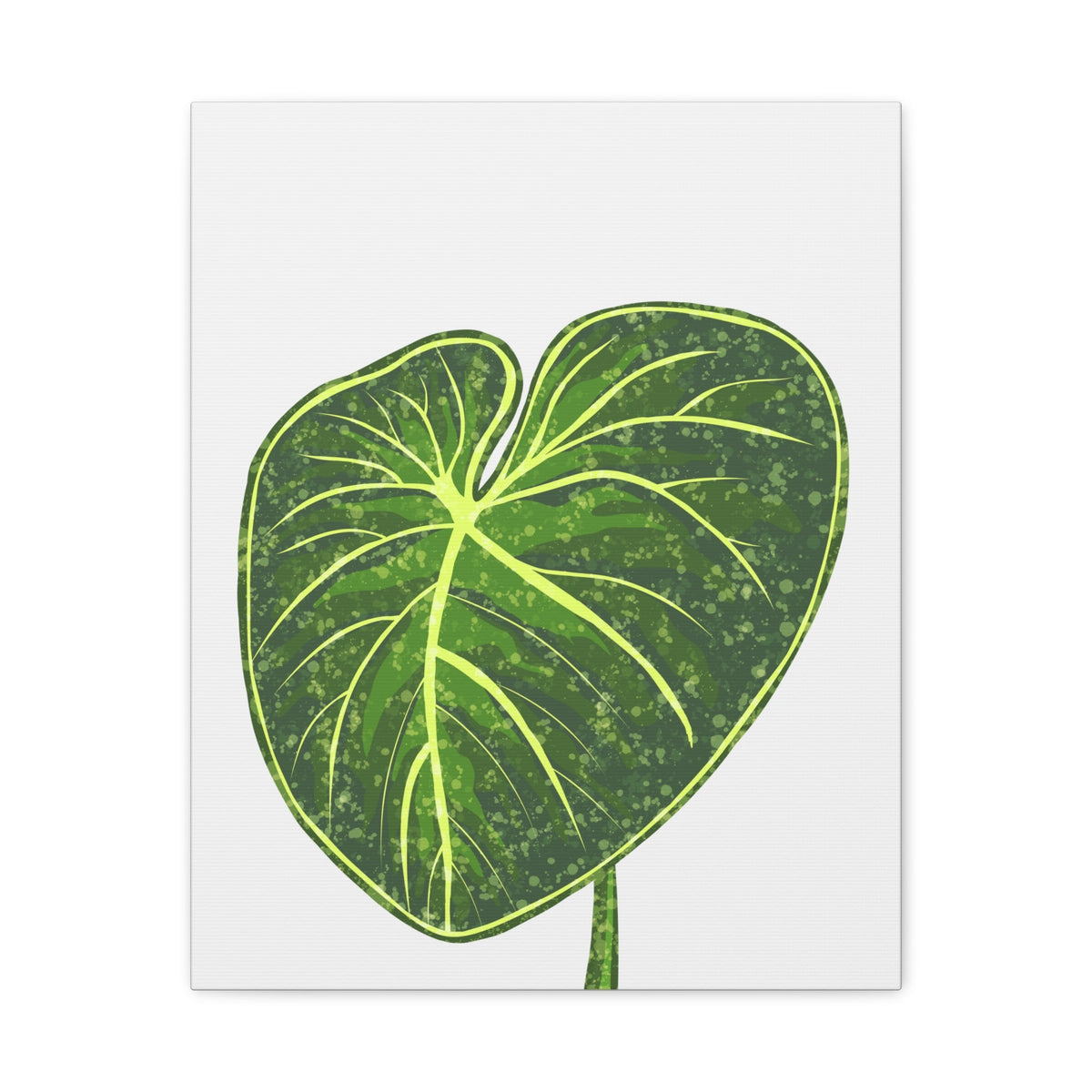 Philodendron Gloriosum Canvas Print – Botanical Wall Art, view 10
