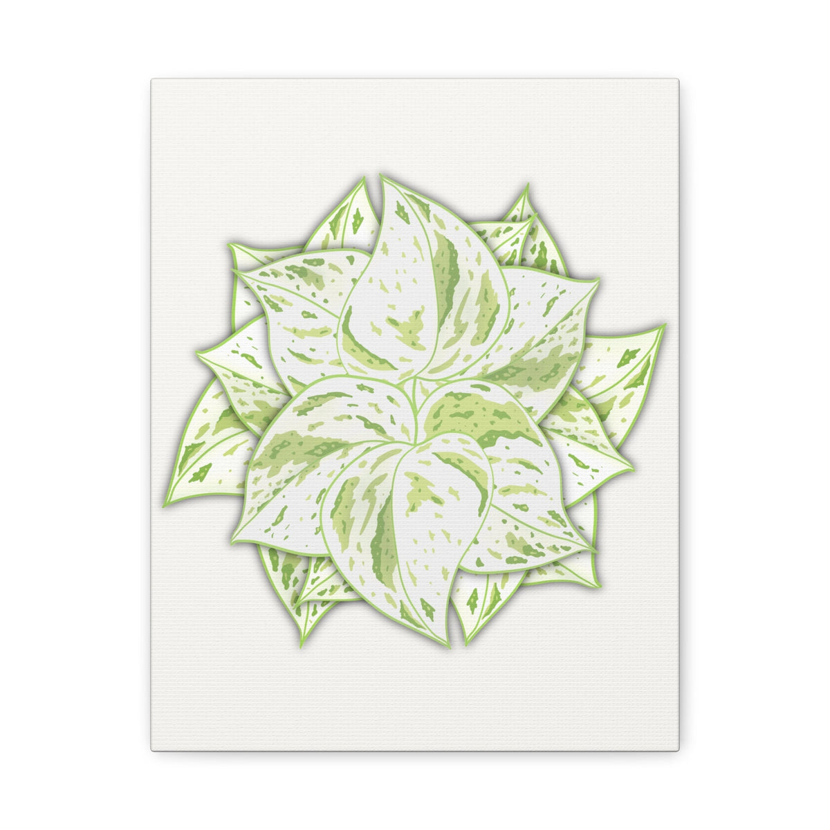 Snow Queen Pothos Canvas Print – Botanical Wall Art, view 9