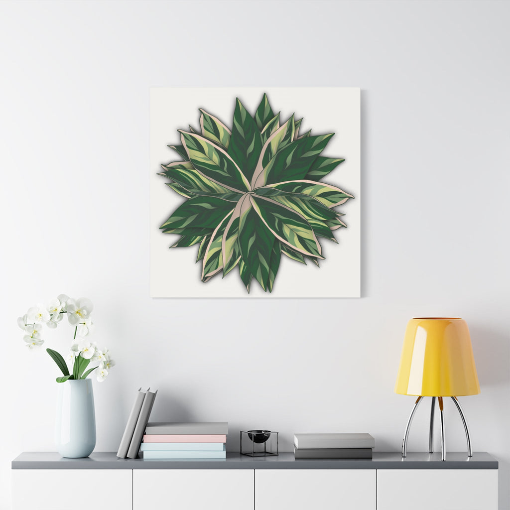 Stromanthe Triostar Canvas Print – Botanical Wall Art