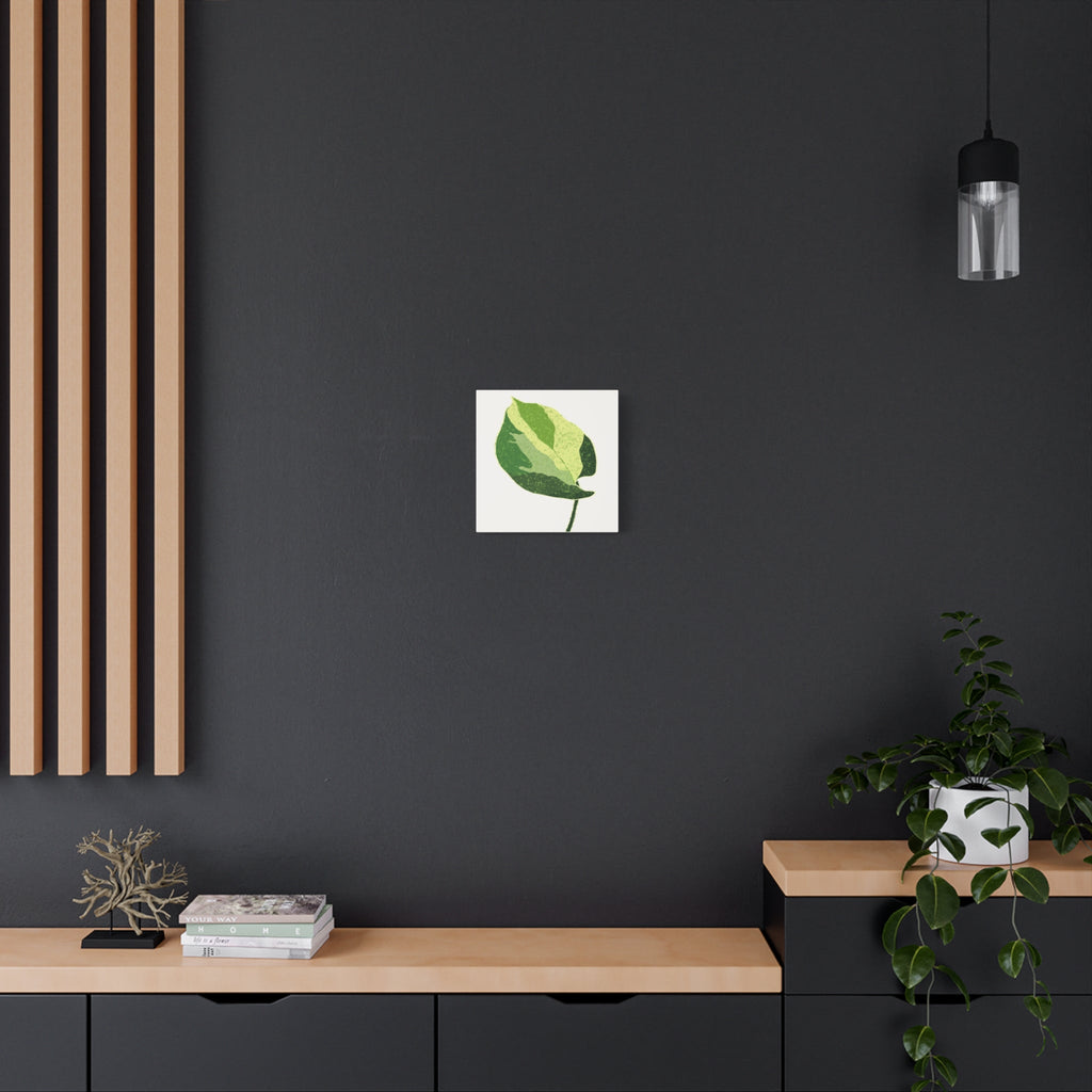 Manjula Pothos Illustrated Canvas Print – Botanical Wall Art