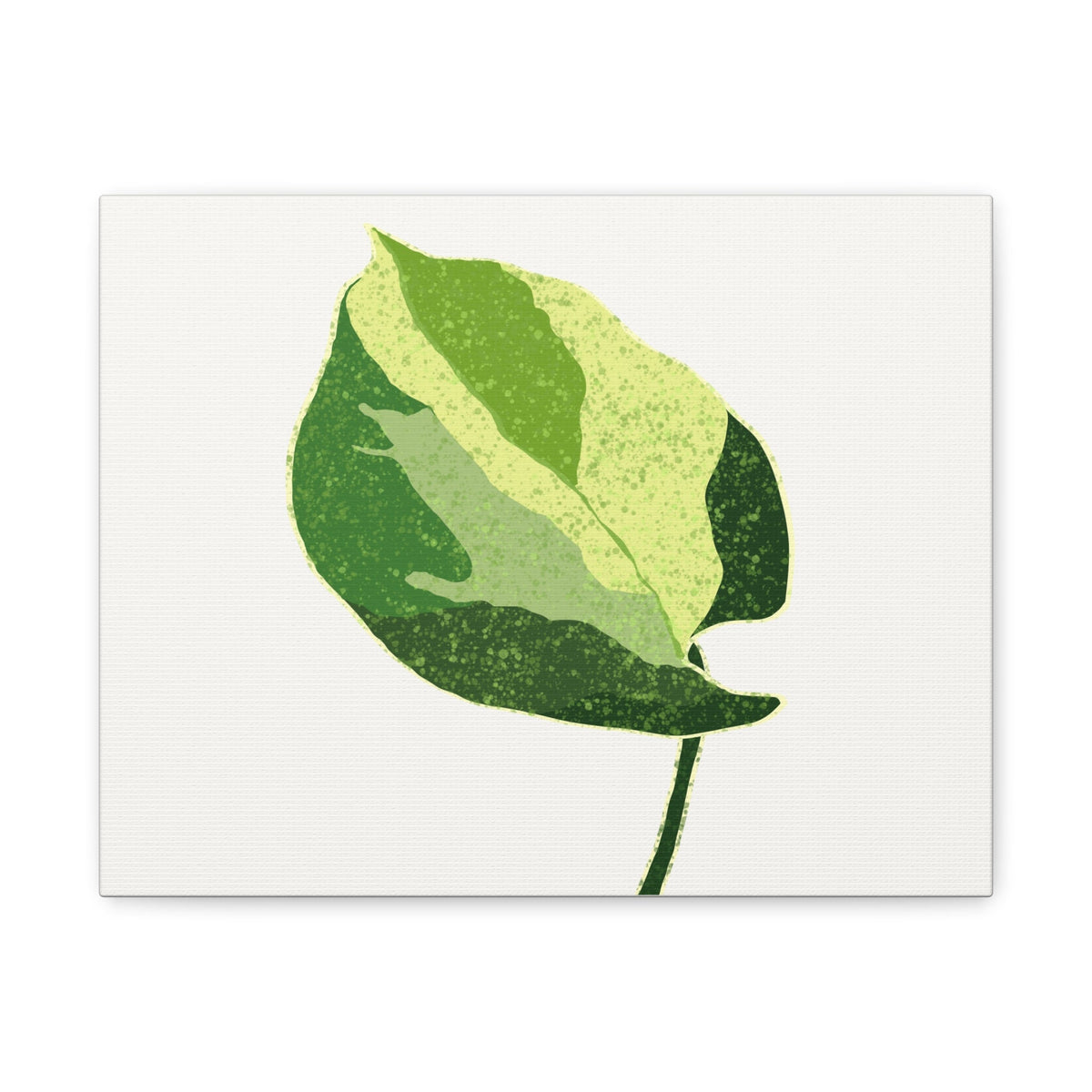 Manjula Pothos Illustrated Canvas Print – Botanical Wall Art, view 2