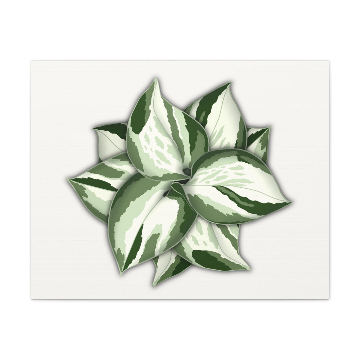 Manjula Pothos Canvas Print – Botanical Wall Art, view 5