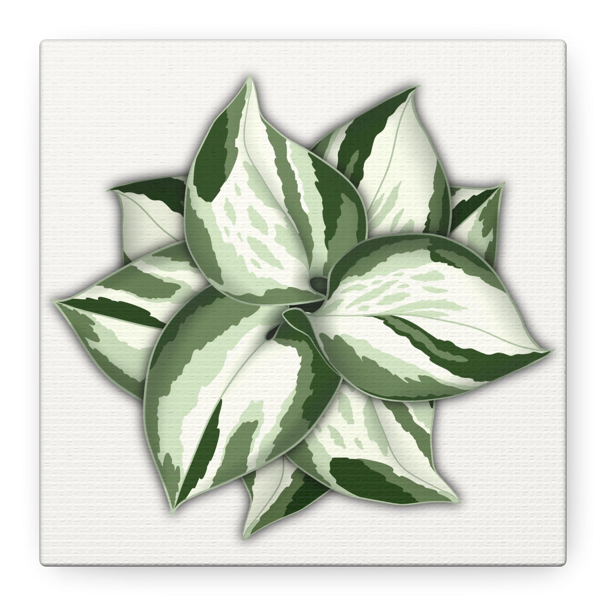 Manjula Pothos Canvas Print – Botanical Wall Art, view 15