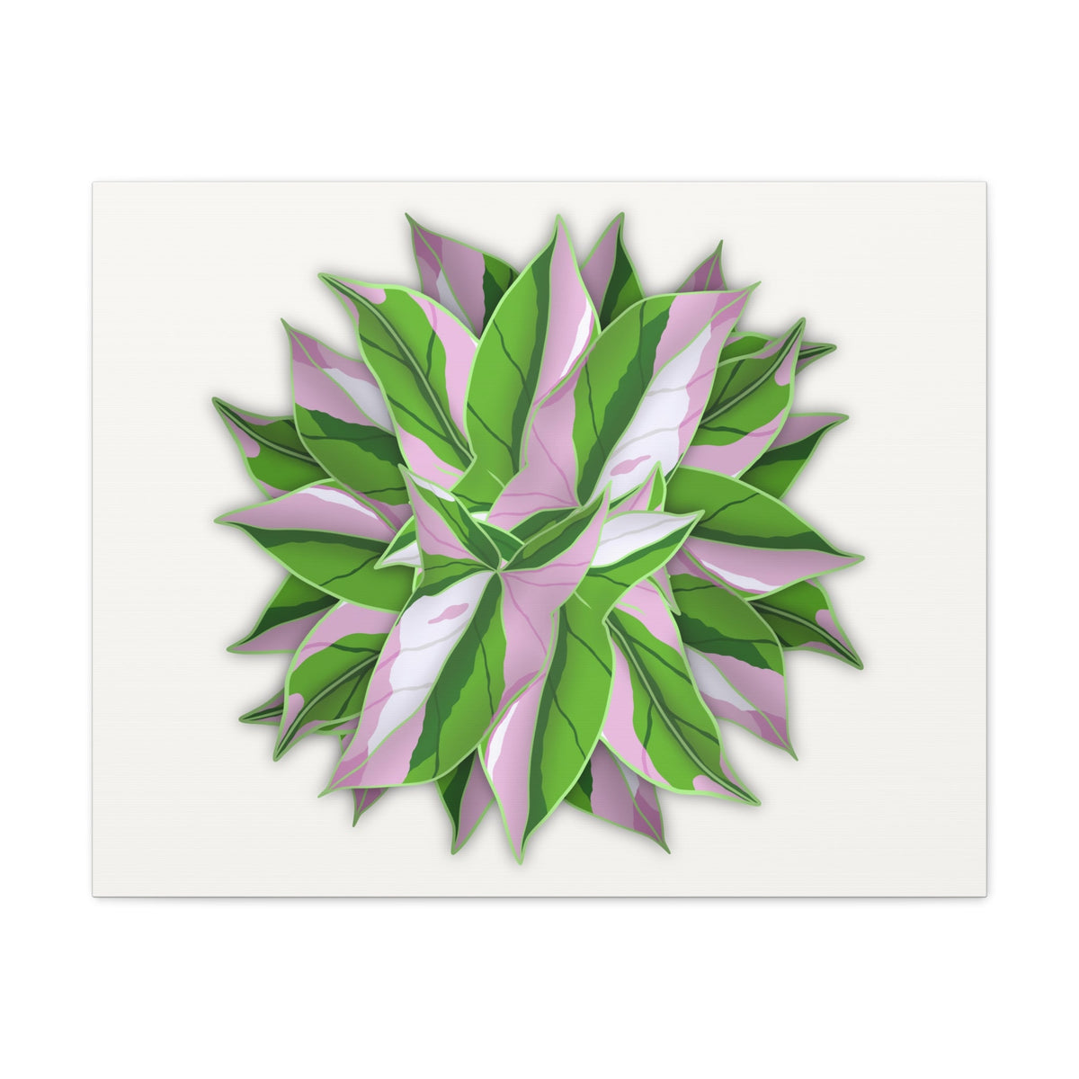 Syngonium Tricolor Pattern Canvas Print – Botanical Wall Art, view 5