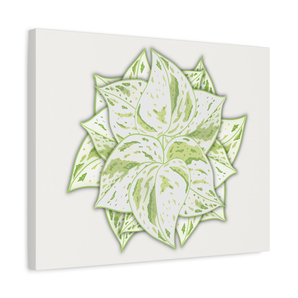 Snow Queen Pothos Canvas Print – Botanical Wall Art
