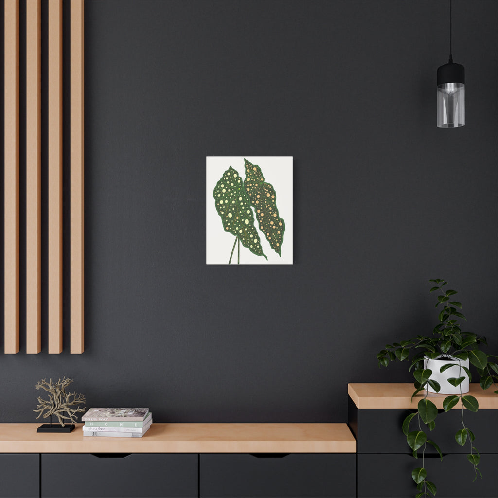 Begonia Maculata Canvas Print – Botanical Wall Art