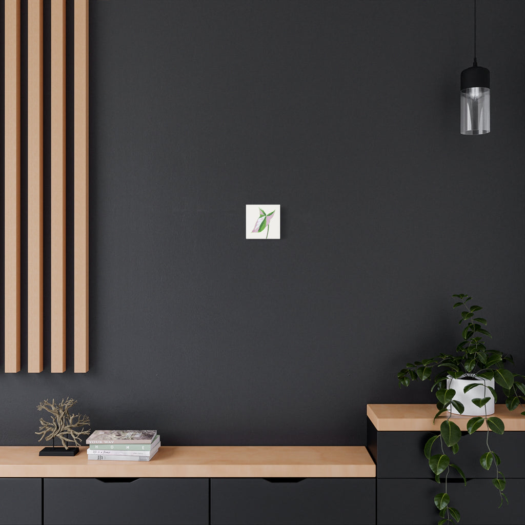Syngonium Tricolor Canvas Print – Botanical Wall Art
