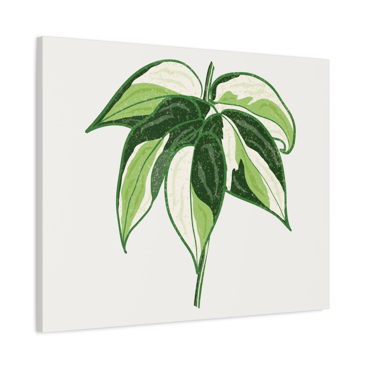 Philodendron Cream Splash Canvas Print – Botanical Wall Art