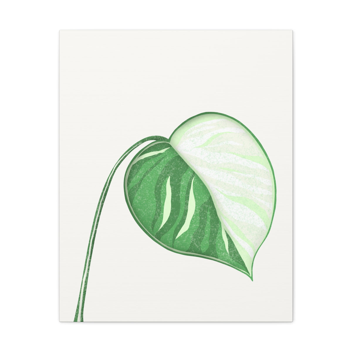 Monstera Albo Canvas Print – Botanical Wall Art, view 12