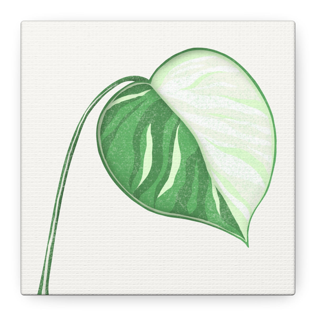 Monstera Albo Canvas Print – Botanical Wall Art, view 13