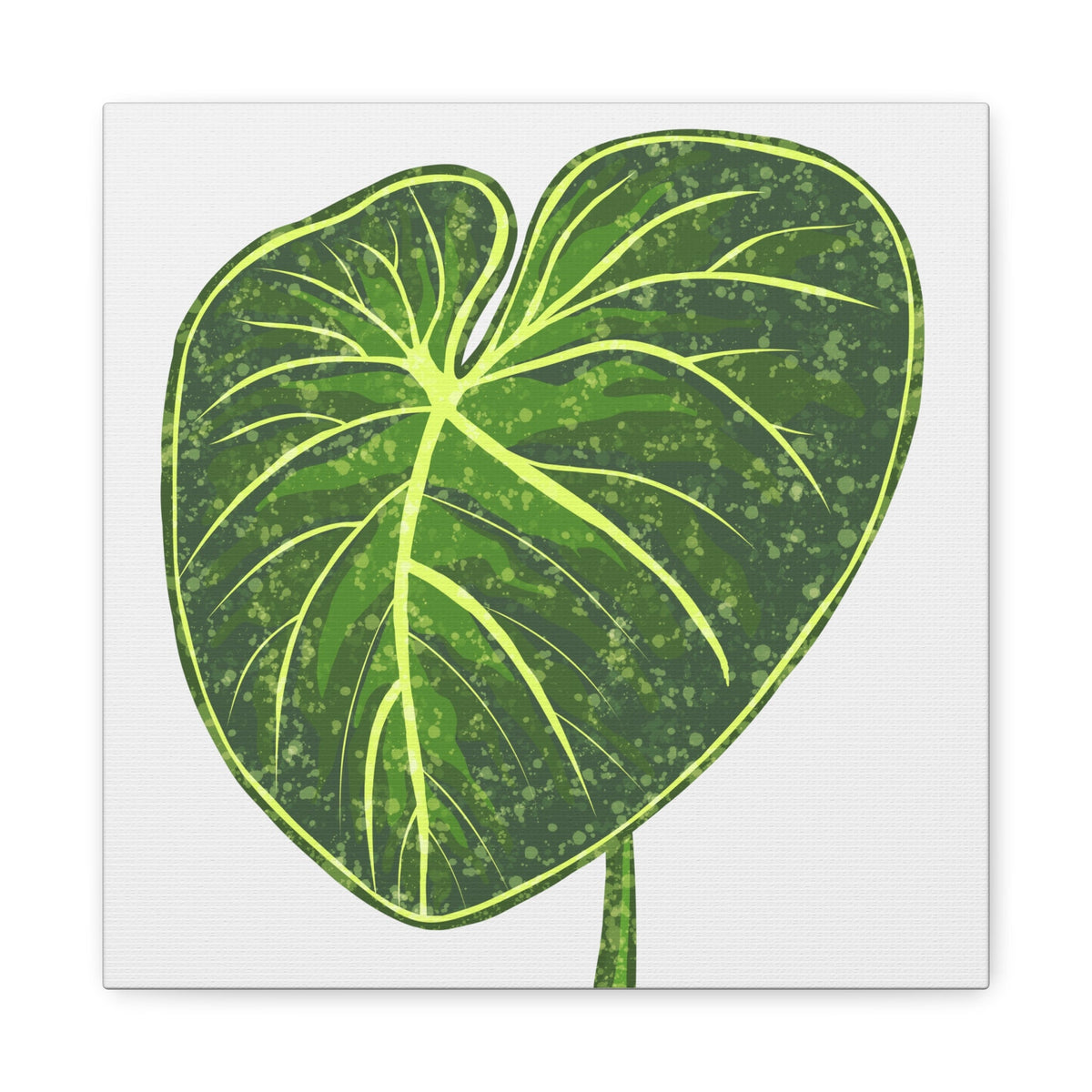 Philodendron Gloriosum Canvas Print – Botanical Wall Art, view 14