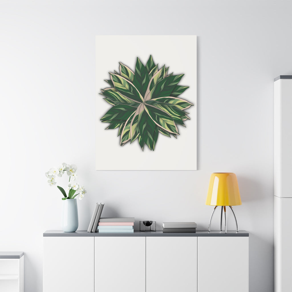 Stromanthe Triostar Canvas Print – Botanical Wall Art
