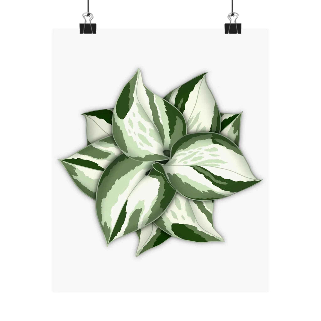 Manjula Pothos Botanical Print – Unframed Wall Art, view 7