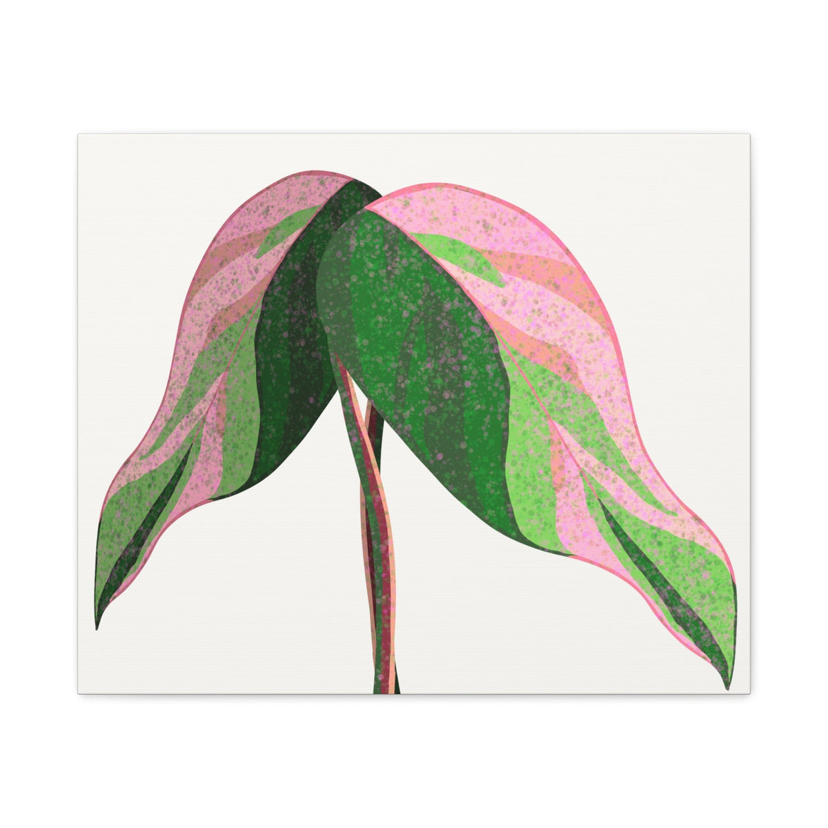 Pink Princess Philodendron Canvas Print – Botanical Wall Art, view 4