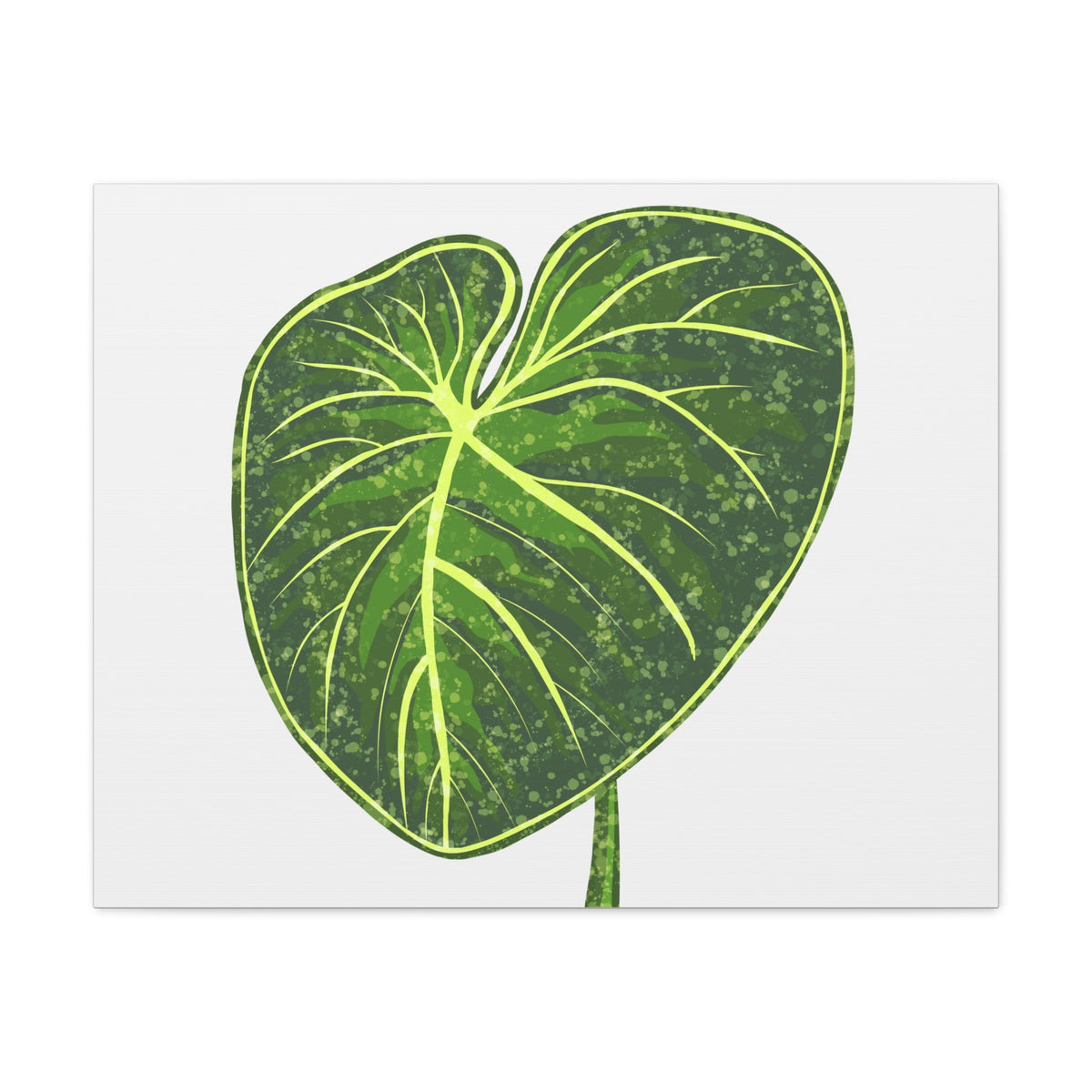 Philodendron Gloriosum Canvas Print – Botanical Wall Art, view 5