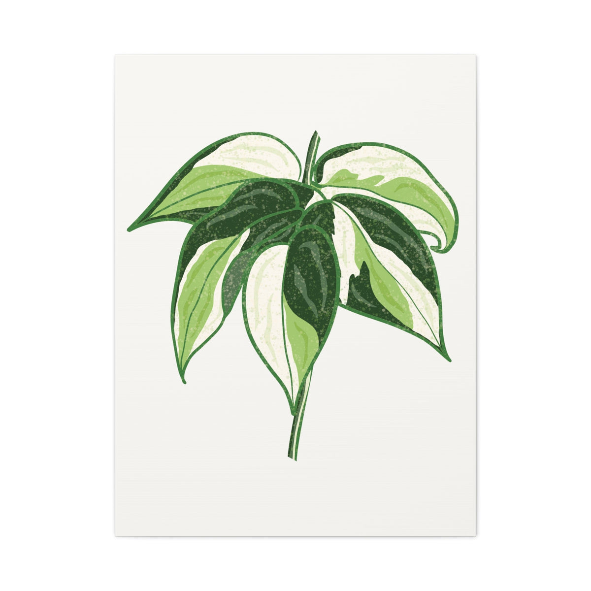 Philodendron Cream Splash Canvas Print – Botanical Wall Art, view 13