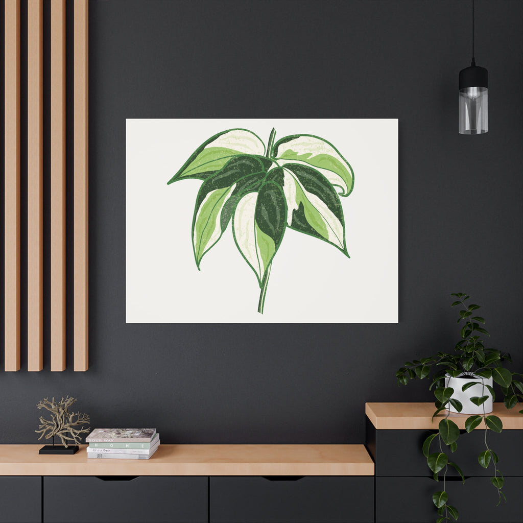 Philodendron Cream Splash Canvas Print – Botanical Wall Art