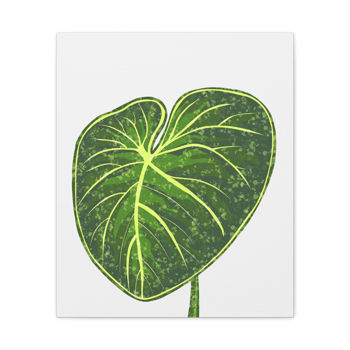 Philodendron Gloriosum Canvas Print – Botanical Wall Art, view 11