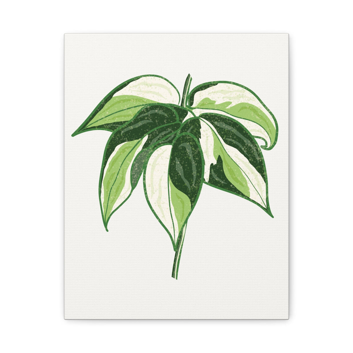 Philodendron Cream Splash Canvas Print – Botanical Wall Art, view 9