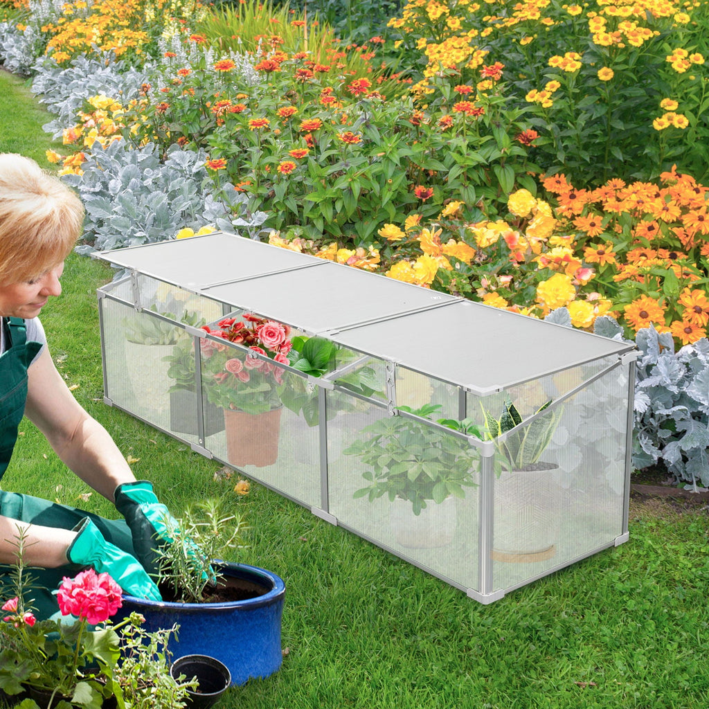 Polycarbonate Cold Frame Greenhouse with Openable Top - Silver, view 3