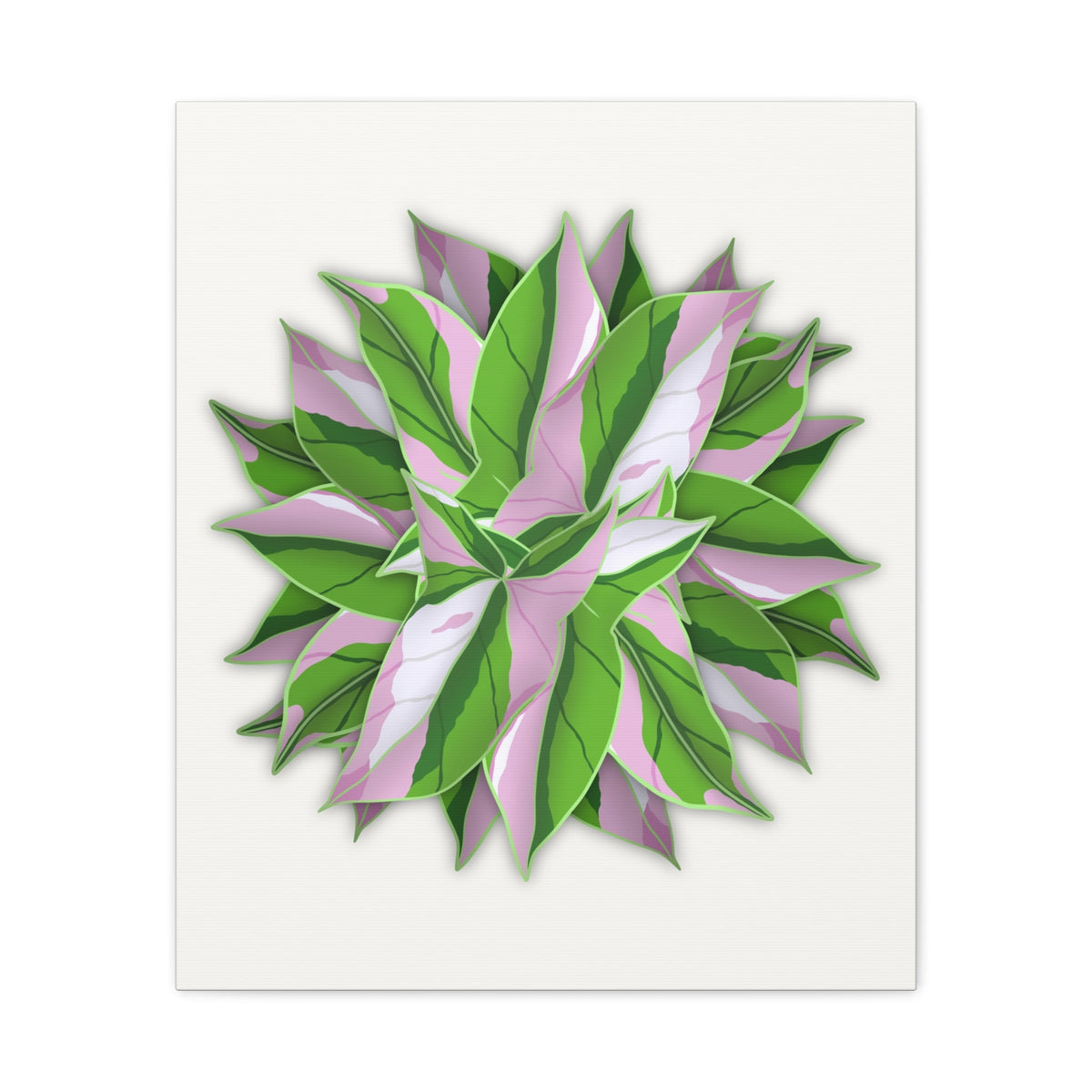 Syngonium Tricolor Pattern Canvas Print – Botanical Wall Art, view 11