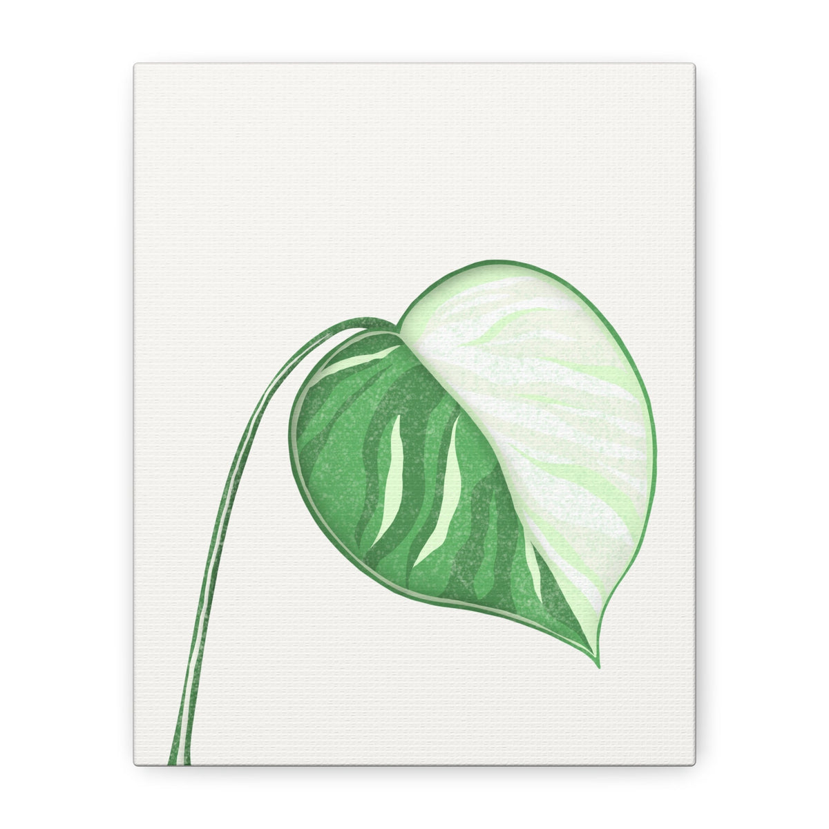 Monstera Albo Canvas Print – Botanical Wall Art, view 8