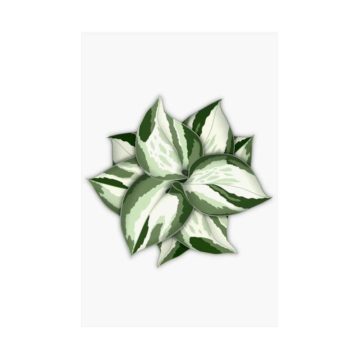 Manjula Pothos Botanical Print – Unframed Wall Art, view 8