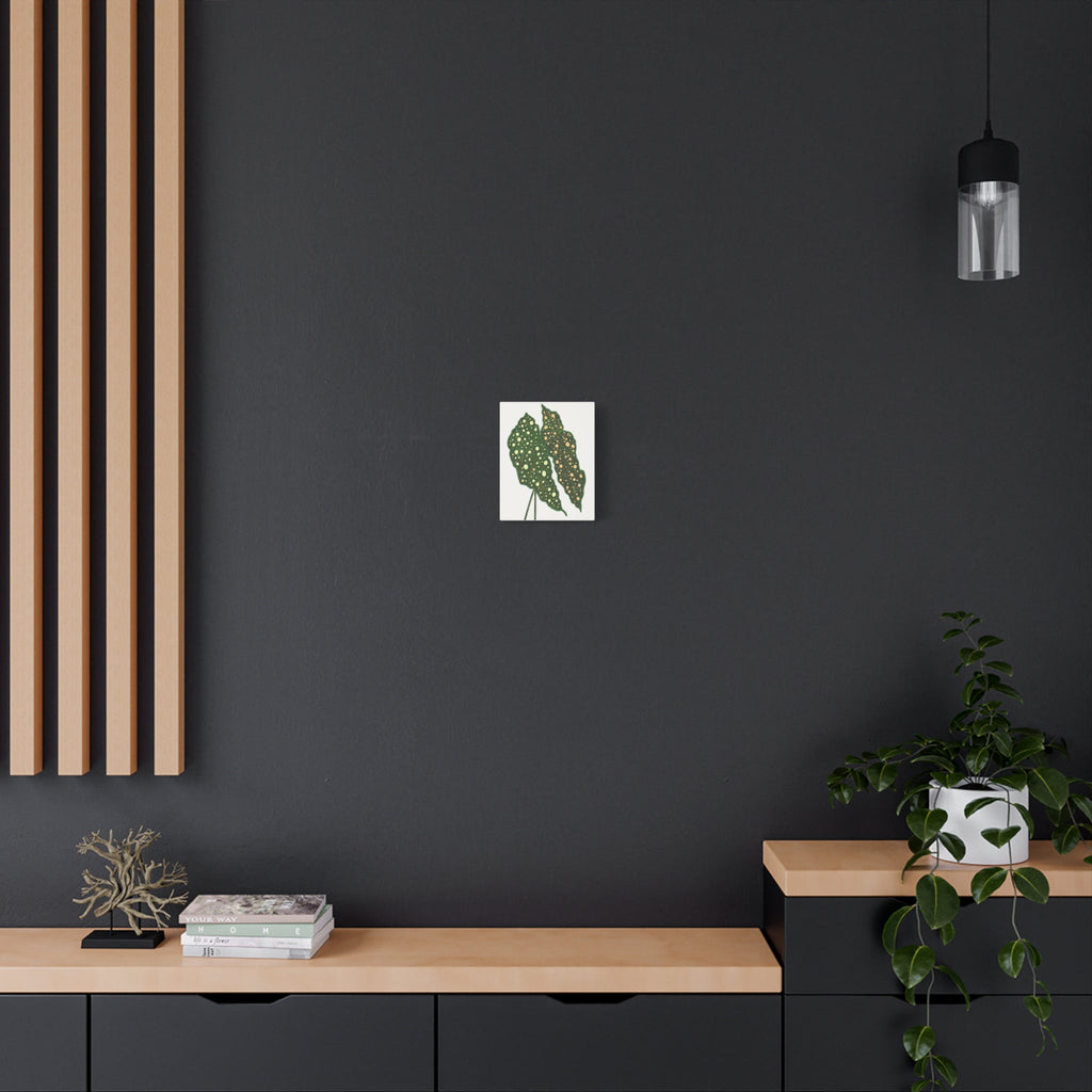 Begonia Maculata Canvas Print – Botanical Wall Art