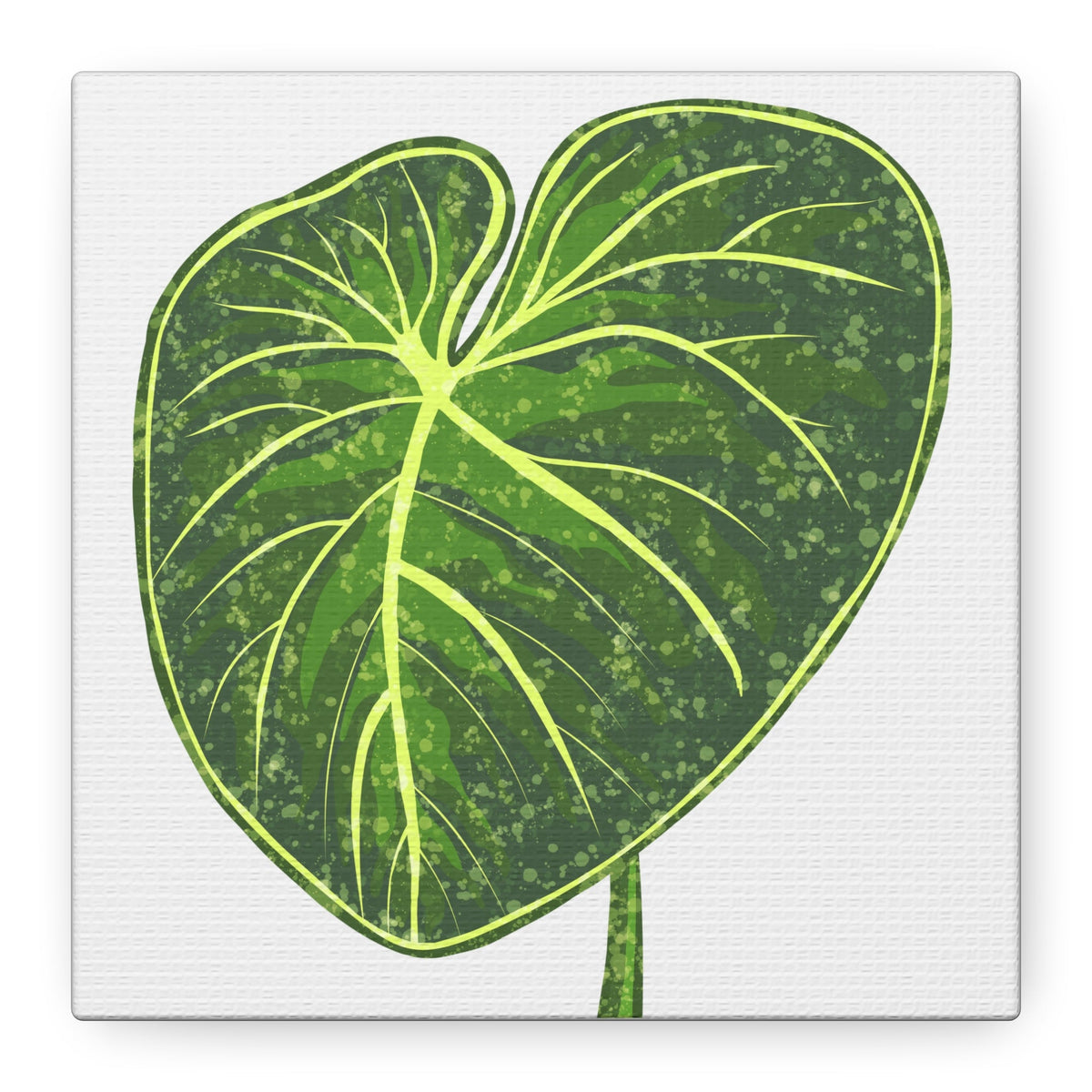 Philodendron Gloriosum Canvas Print – Botanical Wall Art, view 13