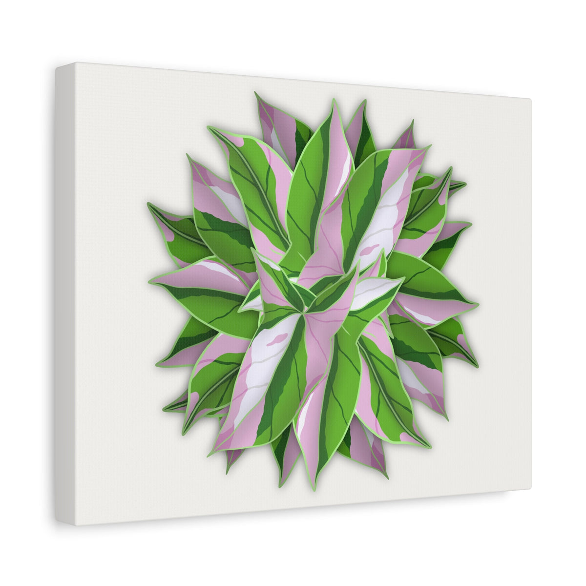 Syngonium Tricolor Pattern Canvas Print – Botanical Wall Art