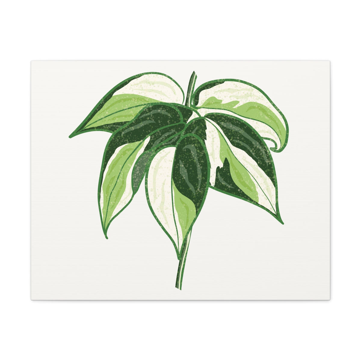 Philodendron Cream Splash Canvas Print – Botanical Wall Art, view 5