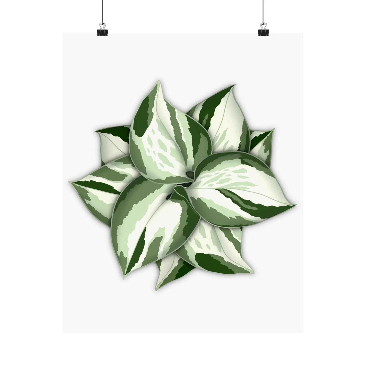 Manjula Pothos Botanical Print – Unframed Wall Art, view 4