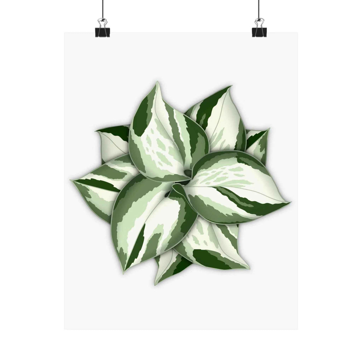 Manjula Pothos Botanical Print – Unframed Wall Art, view 2